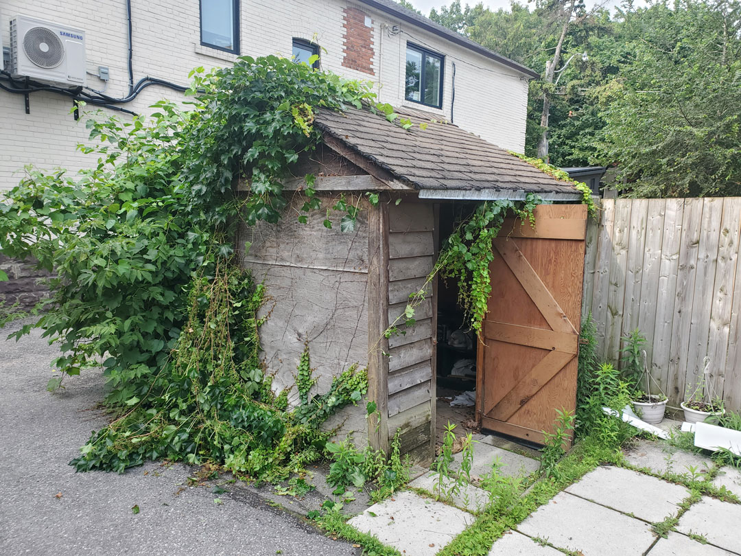 Shed Removal Toronto