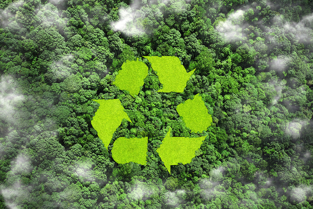 DISPOSAL EFFORTS